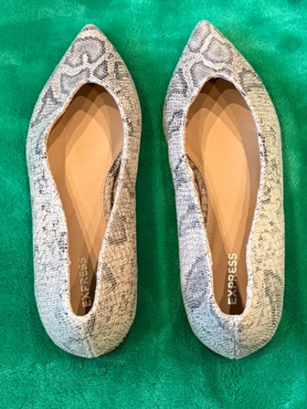 Express Women's Pointed-Toe Flats in Snake Print